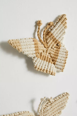 Threaded Wings Set of 5