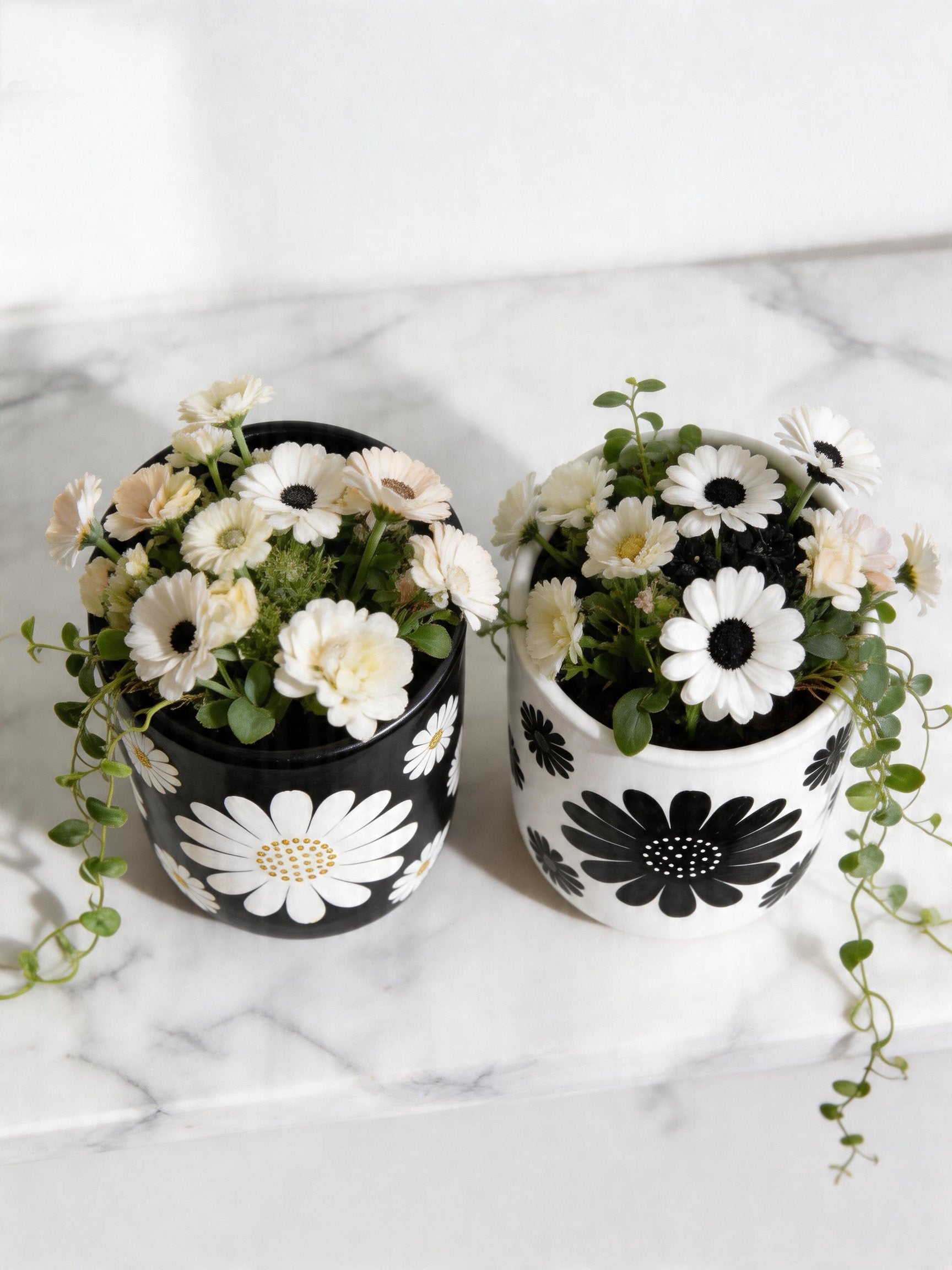 Mono Daisy Planter (Set of 2)