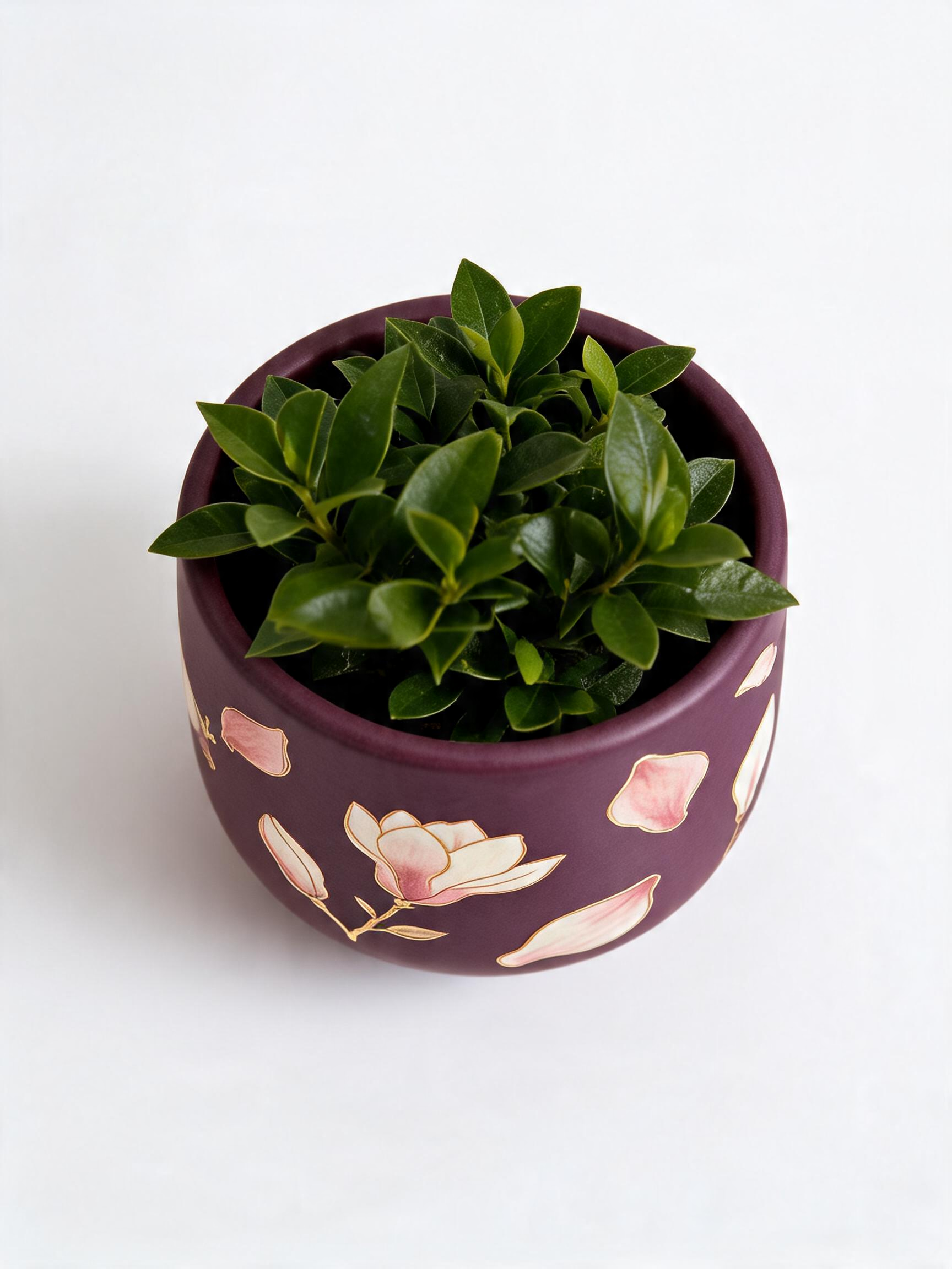 Magnolia Planter