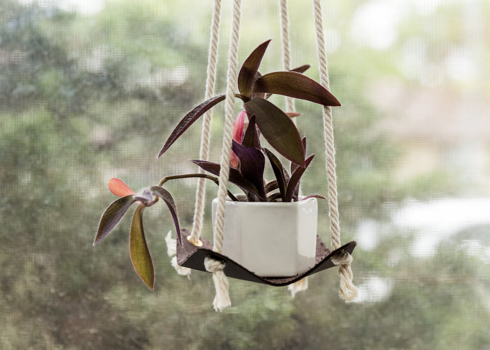 Designer Sling Hanger
