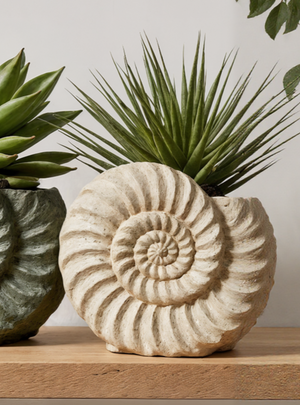 Fossil Shell Planter