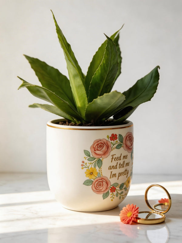 I'm Pretty Pot