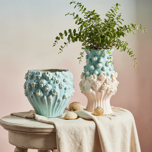Coral Reef Set
