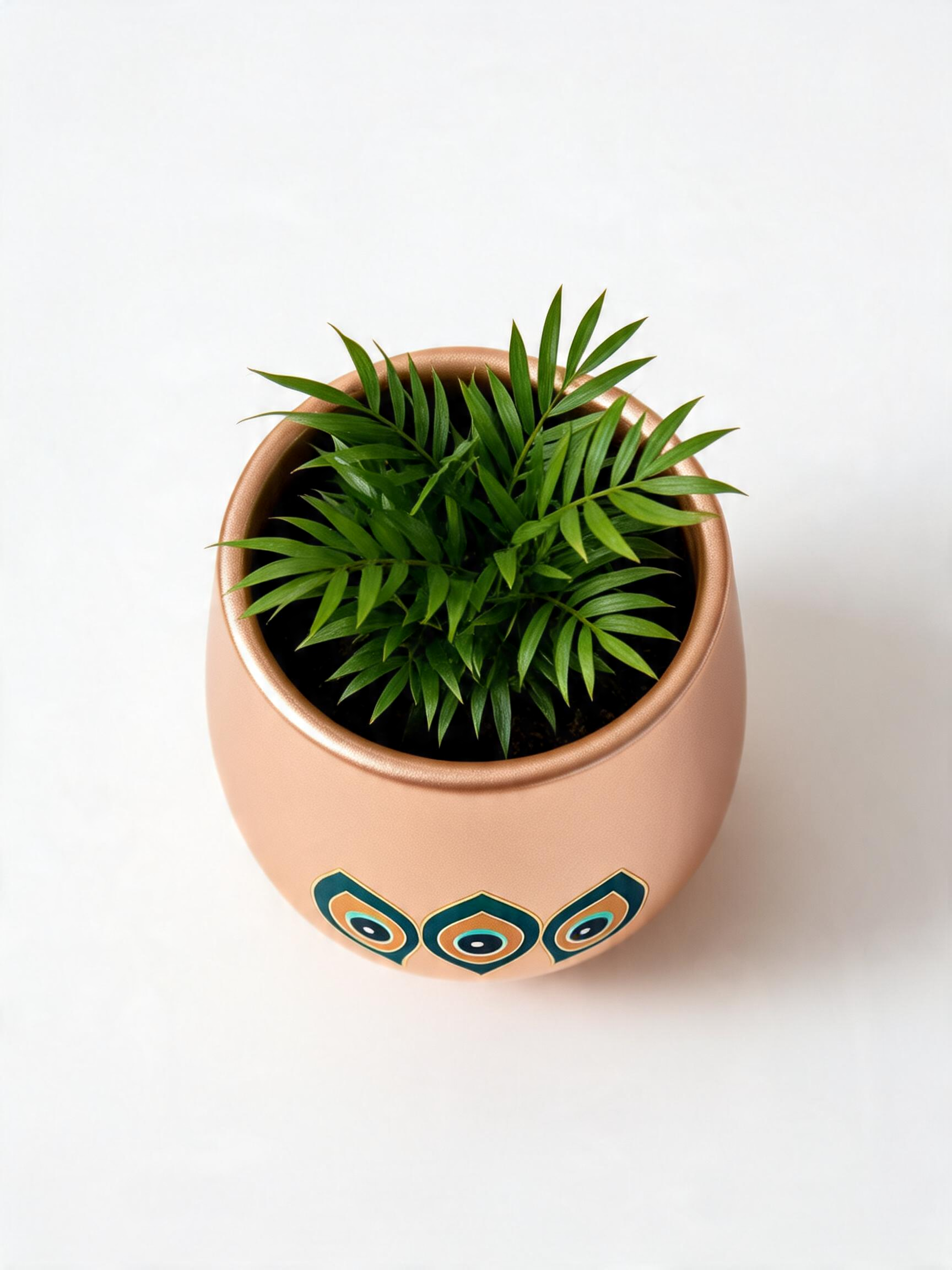 Rose Gold Eye Planter