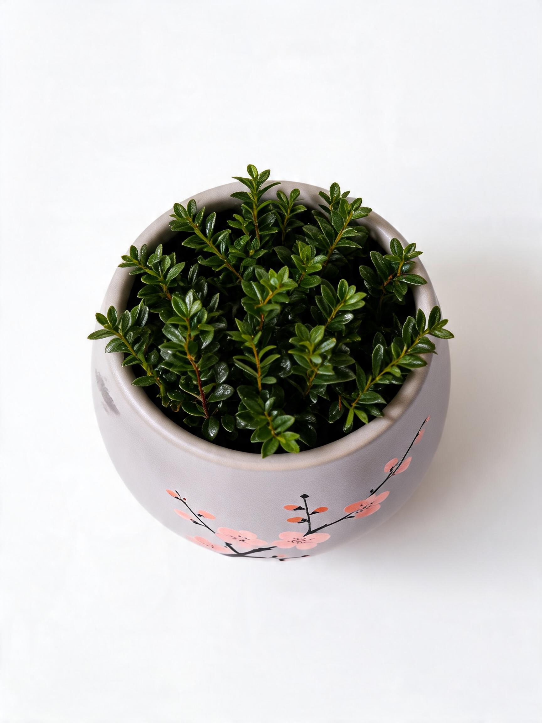 Lavender Grey Planter