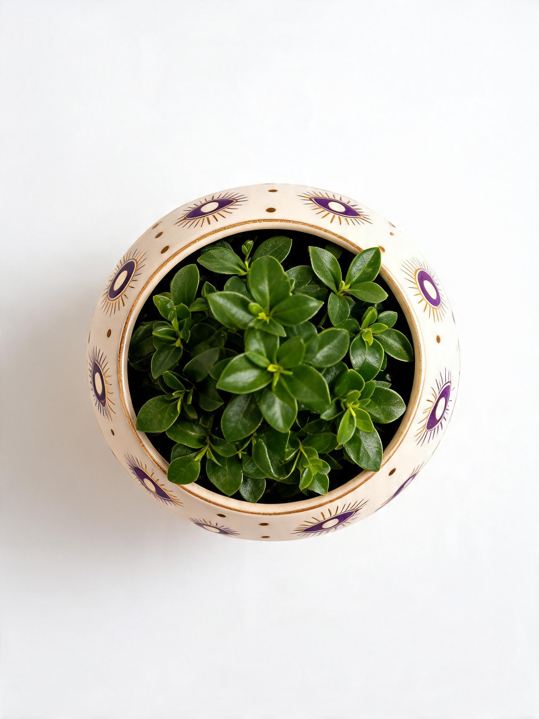 Berry Eye Planter